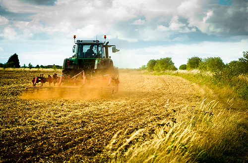 Managing farm cashflow in the UK