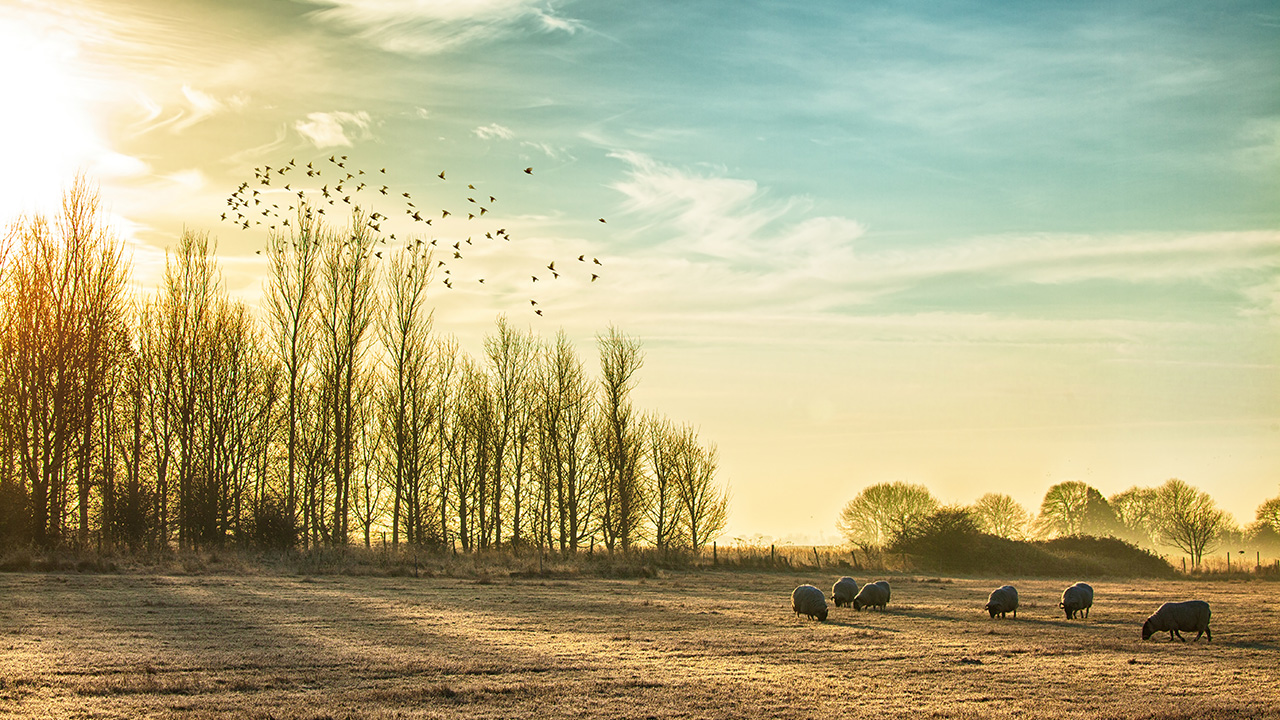 Gifting land used by my partnership: what the 2026 IHT changes mean