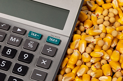 Farm support payments: tax considerations