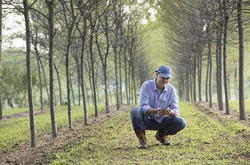 Taxation of environmental land management and ecosystem service markets
