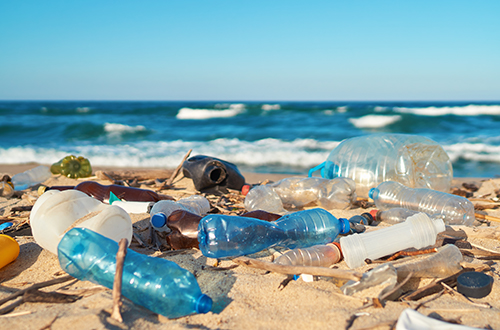 Plastic, pollution and the impact on your Company