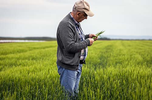 Scrapping the Pension Lifetime Allowance: the impact on farmers’ pension contributions