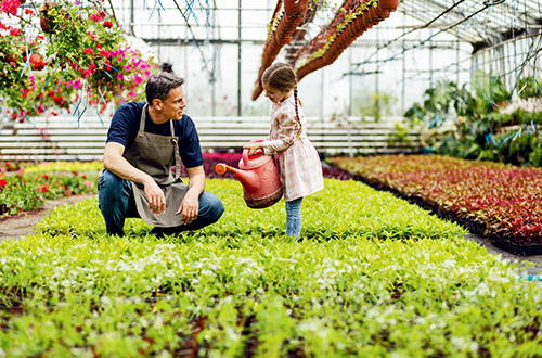 What does effective family-owned business succession planning look like?