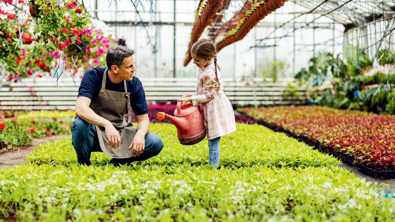 What does effective family-owned business succession planning look like?